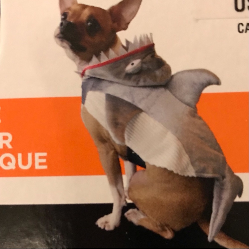 Small Pet Shark Costume